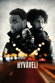Hyväveli 2022 on netflix