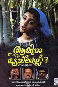 Amina Tailors 1991 on netflix