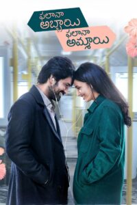 Phalana Abbayi Phalana Ammayi 2023 on netflix