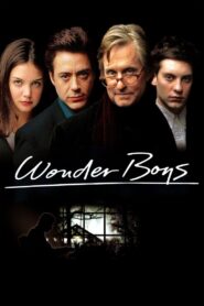 Wonder Boys 2000 on netflix