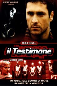 Il testimone 2001 on netflix