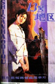 十三号地区 1984 on netflix