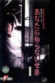 The World You Don’t Know I 1991 on netflix