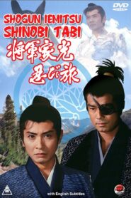 Shogun Iemitsu Shinobi Tabi 1990 on netflix
