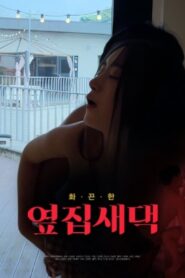 New Wife Next Door 2024 on netflix