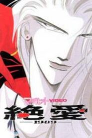 Desperate Love 1989 1992 on netflix