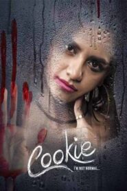 Cookie 2020 on netflix