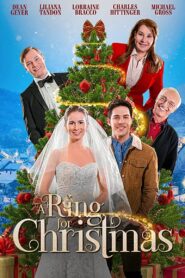 A Ring for Christmas 2020 on netflix