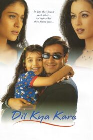 Dil Kya Kare 1999 on netflix