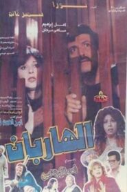 The Two Fugitives 1993 on netflix