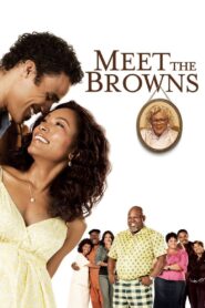 Meet the Browns 2008 on netflix