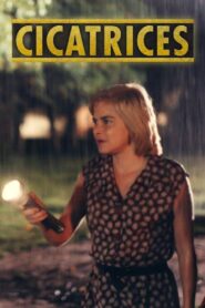 Cicatrices 2001 on netflix