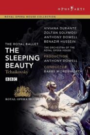 The Sleeping Beauty 1994 on netflix