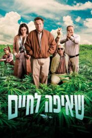 Greener Pastures 2022 on netflix