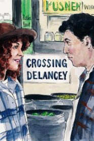 Crossing Delancey 1988 on netflix