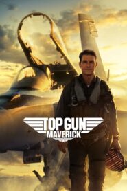 Top Gun: Maverick 2022 on netflix