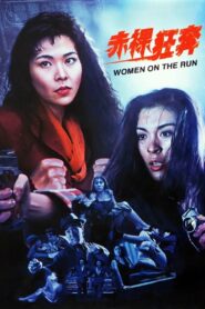 Women on the Run 1993 on netflix