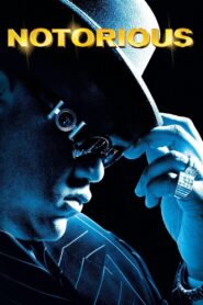 Notorious 2009 on netflix