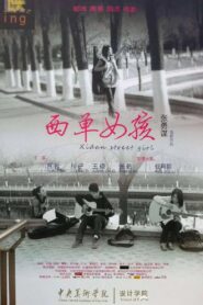 西单女孩 2011 on netflix