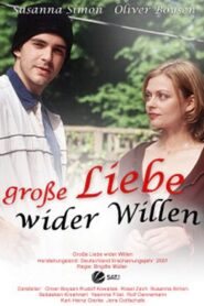 Große Liebe wider Willen 2001 on netflix