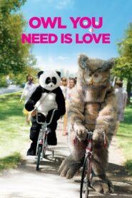 Owl You Need Is Love 2016 on netflix