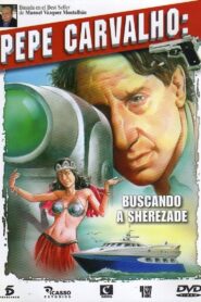 Buscando a Sherezade 1999 on netflix