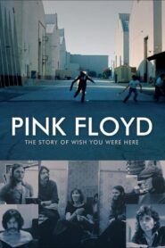 Pink Floyd: The Story of Wish You Were Here 2012 on netflix