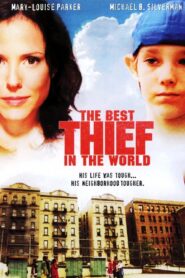 The Best Thief in the World 2004 on netflix