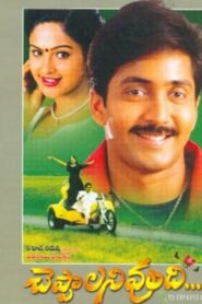 Cheppalani Vundhi 2001 on netflix