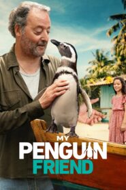 My Penguin Friend 2024 on netflix