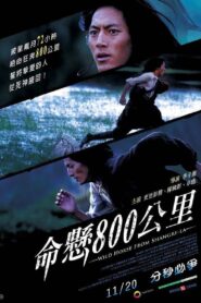 Wild Horse from Shangri-La 2009 on netflix