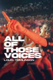 Louis Tomlinson: All of Those Voices 2023 on netflix