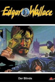 Der Blinde 1996 on netflix