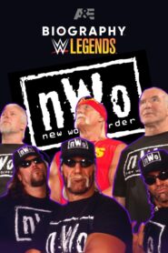 Biography: nWo 2023 on netflix