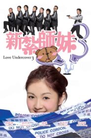 Love Undercover 3 2006 on netflix
