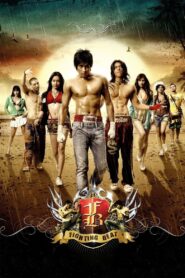 FB: Fighting Beat 2007 on netflix