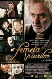 The Woman in the Dream 2005 on netflix