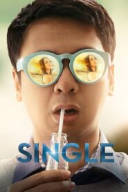 Single 2015 on netflix