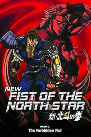 New Fist of the North Star: The Forbidden Fist 2003 on netflix