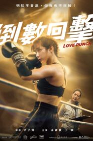 Love Punch 2023 on netflix