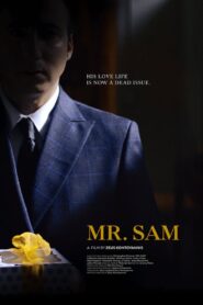 Mr. Sam 2019 on netflix