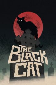 The Black Cat 1981 on netflix