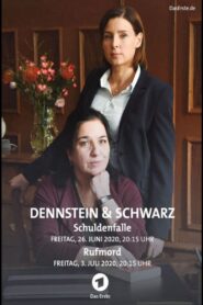 Dennstein & Schwarz – Pro bono, was sonst! 2019 on netflix