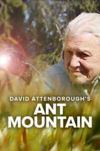 David Attenborough’s Ant Mountain 2017 on netflix