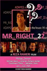 Mr_Right_22 2007 on netflix