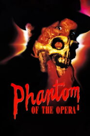 The Phantom of the Opera 1989 on netflix