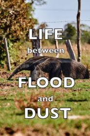 Life between Flood and Dust 2012 on netflix