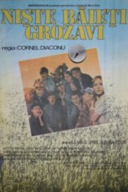 Niște băieți grozavi 1987 on netflix