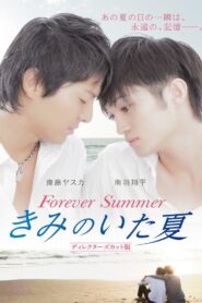 Forever Summer 2015 on netflix