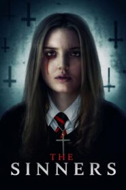 The Sinners 2020 on netflix